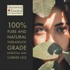 Greenwood Essential Pur Carotte Graine Huile Essentielle Daucus carota 100% Naturelle de qualité Thérapeutique distillée à 