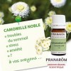 Pranarôm Huile Essentielle Camomille Noble Bio, Chamaemelum nobile Fleur, 5 ml