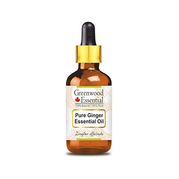 Greenwood Essential Pur Gingembre Essentiel Huile Zingiber officinale avec compte-gouttes en verre Naturel Thérapeutique Gr