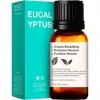 Kukka huile essentielle deucalyptus pour diffuseur 10 ml x 2 - Huile deucalyptus naturelle de qualité thérapeutique pour 
