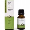 HUILE ESSENTIELLE DEUCALYPTUS globulus 15 ml - 100% pure et naturelle - PRODUIT CONCENTRE. Action purifiante et tonifiante