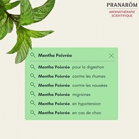 Pranarôm - Huile Essentielle Menthe Poivrée Bio - Mentha x piperita - Partie Aérienne HECT - 10 ml
