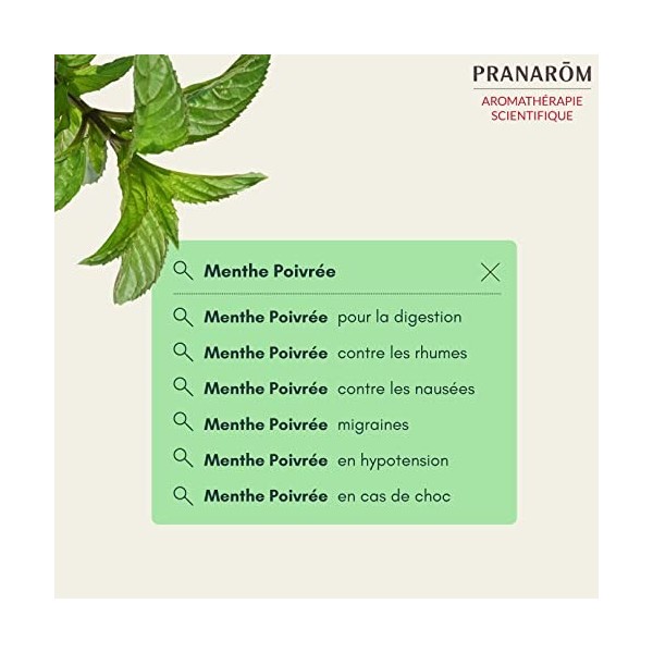 Pranarôm - Huile Essentielle Menthe Poivrée Bio - Mentha x piperita - Partie Aérienne HECT - 10 ml