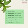 Pranarôm - Huile Essentielle Menthe Poivrée Bio - Mentha x piperita - Partie Aérienne HECT - 10 ml