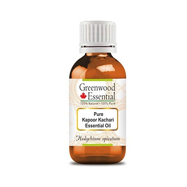 Greenwood Essential Pur Kapoor Kachari Huile Essentielle Hedychium spicatum 100% Naturelle de Qualité Thérapeutique Distill