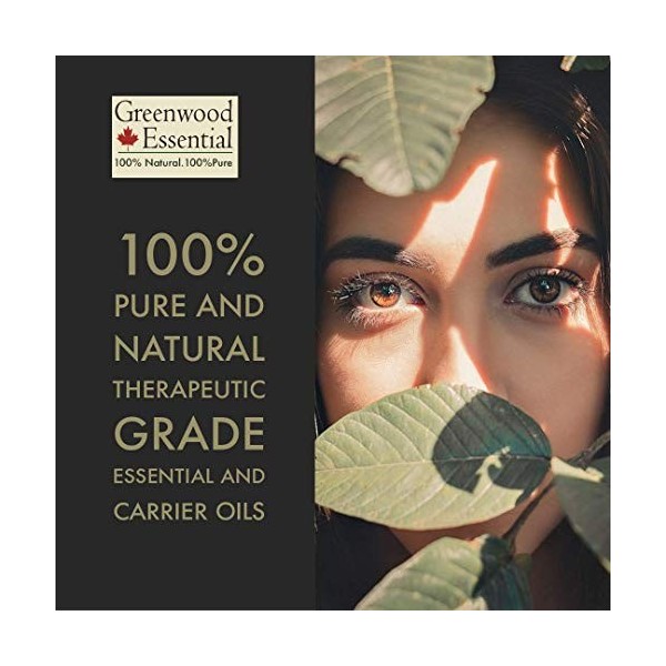 Greenwood Essential Pur Kapoor Kachari Huile Essentielle Hedychium spicatum 100% Naturelle de Qualité Thérapeutique Distill