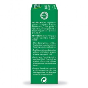 PHYTOSUN arôms – Huile Essentielle Niaouli – 100% pure et naturelle – 10ml