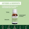 PRANARÔM - Menthe Poivrée Bio - Huile Essentielle Chémotypée - Digestion & Hygiène Buccale - 100% Pure Et Naturelle - HECT - 