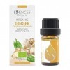 Essences Bulgaria Huile Essentielle de Gingembre Bio 5ml | Zingiber officinale | 100% Pur et Naturel | Non Dilué | Qualité Th