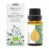 Essences Bulgaria Huile Essentielle dEucalyptus Globuleux Bio 15 ml | Eucalyptus globulus | 100% Pur et Naturel | Non Dilué 