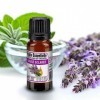 "La vie en zen" Huile essentielle SAUGE SCLAREE 10 ml pure et naturelle | 100% HECT Haute qualité