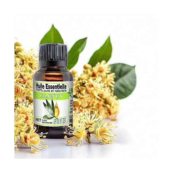 "La vie en zen" Huile essentielle de CAJEPUT 10 ml pure et naturelle | 100% HECT Haute qualité