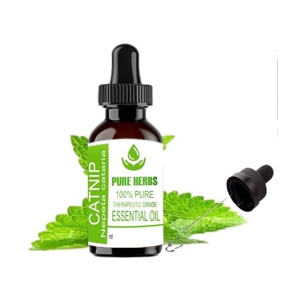 Pure Herbs Catnip Nepeta Cataria Pure & Natural Therapeutic Grade Essential Oils 30ml PLASTIC With Dropper