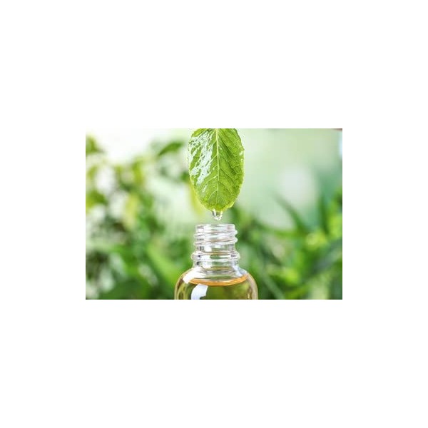 "La vie en zen" Huile essentielle MENTHE DES CHAMPS 10 ml pure et naturelle | 100% HECT Haute qualité