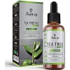 Kanzy Huile Essentielle Tea Tree Bio 60ml Naturelle Vegan Huile Arbre à Thé pour le Visage, Ongles et les Soins de la peau Hu