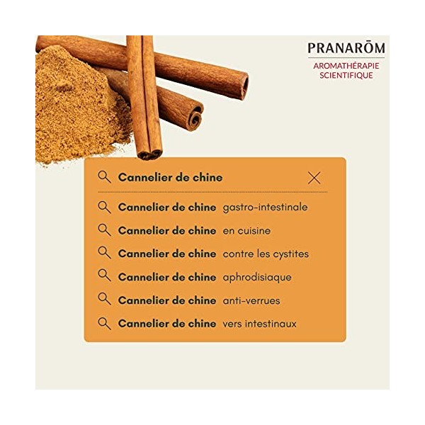 Pranarôm Huile Essentielle Cannelier de Chine Cinnamomum cassia Rameau Feuillé HECT 10 ml