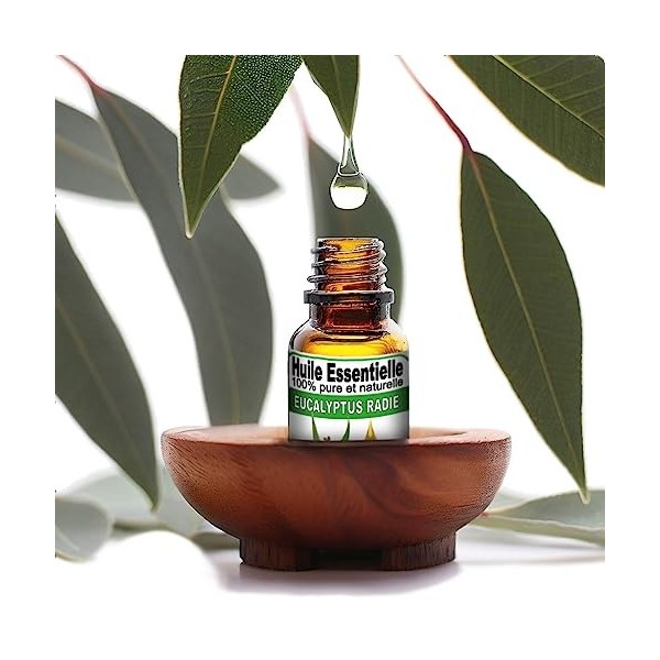 "La vie en zen" Huile essentielle de EUCALYPTUS RADIé 10 ml pure et naturelle | 100% HECT Haute qualité