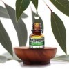 "La vie en zen" Huile essentielle de EUCALYPTUS RADIé 10 ml pure et naturelle | 100% HECT Haute qualité