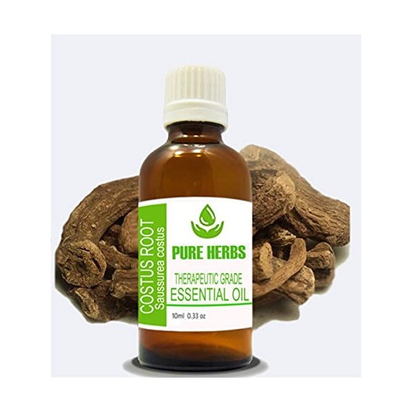 Pure Herbs Costus Root Saussurea Lappa Huile essentielle pure et naturelle de qualité thérapeutique 10 ml