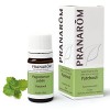 Pranarôm Huile Essentielle Patchouli Pogostemon Cablin Feuille, 5 ml