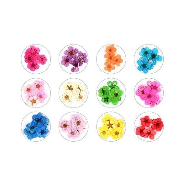 Valuu 3D Nail Dried Flowers Sticker 60 Five Petal Flower 12 Colors Natural Real Dry Flower Nail Stickers ?60 Flowers?