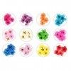 Valuu 3D Nail Dried Flowers Sticker 60 Five Petal Flower 12 Colors Natural Real Dry Flower Nail Stickers ?60 Flowers?