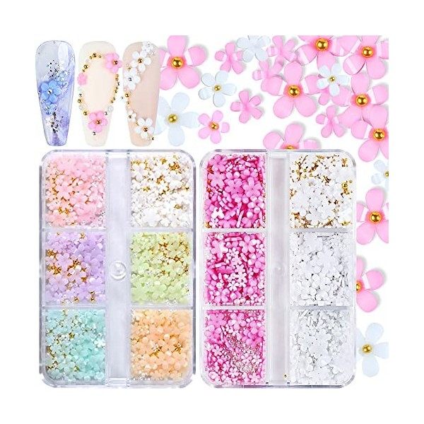 Lot de 2 boîtes de breloques en forme de fleur 3D en acrylique pour nail art, strass blancs et roses, mélange de fleurs de ce