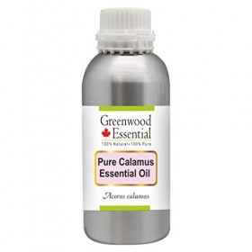 Greenwood Essential Pur Calamus Huile Essentielle Acorus calamus 100% Naturelle de Qualité Thérapeutique Distillée à la Vap