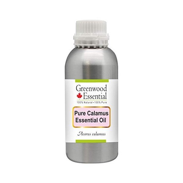 Greenwood Essential Pur Calamus Huile Essentielle Acorus calamus 100% Naturelle de Qualité Thérapeutique Distillée à la Vap