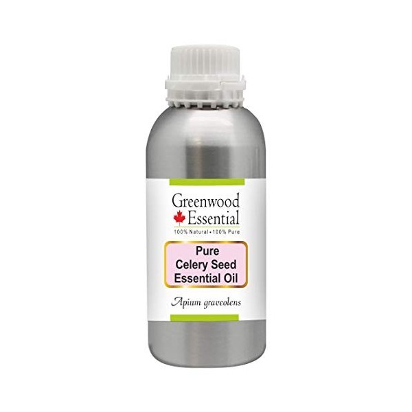 Greenwood Essential Pur Graine de céleri Huile Essentielle Apium graveolens 100% Naturelle de Qualité Thérapeutique Distill