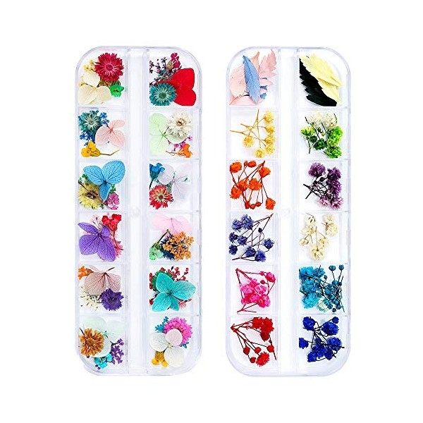 iFancer Lot de 108 fleurs séchées en résine pour nail art 62 couleurs 3D Fleurs séchées pour ongles 2 boîtes de petites fleur