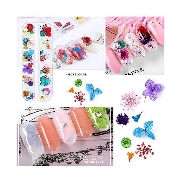 iFancer Lot de 108 fleurs séchées en résine pour nail art 62 couleurs 3D Fleurs séchées pour ongles 2 boîtes de petites fleur