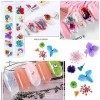 iFancer Lot de 108 fleurs séchées en résine pour nail art 62 couleurs 3D Fleurs séchées pour ongles 2 boîtes de petites fleur