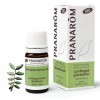 Pranarom Huile Essentielle Lentisque Pistachier Bio Pistacia lentiscus Rameau 5ml