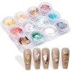 NICENEEDEDTranches de Coquillages Irréguliers DOrmeau 12 couleurs, 3D Nail Art Shell Piece Nail Patch Sirène Flocons pour Na