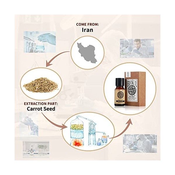 Huile essentielle de graines de carotte AKARZ Huile de graines de carotte thérapeutique naturelle biologique pure de qualité 