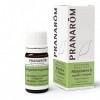 Pranarôm |Huile Essentielle Marjolaine à Coquilles CT Thujanol|Origanum majorana | Sommité Fleurie | HECT|5 ml