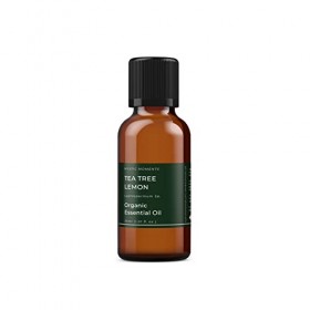 Mystic Moments | Arbre à thé Citron parfumé Huile essentielle BIO&nbsp;–&nbsp;30&nbsp;ml&nbsp;–&nbsp;100% pur