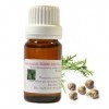 Huile Essentielle HEBBD de CYPRÈS de PROVENCE Cupressus sempervirens 10ml 