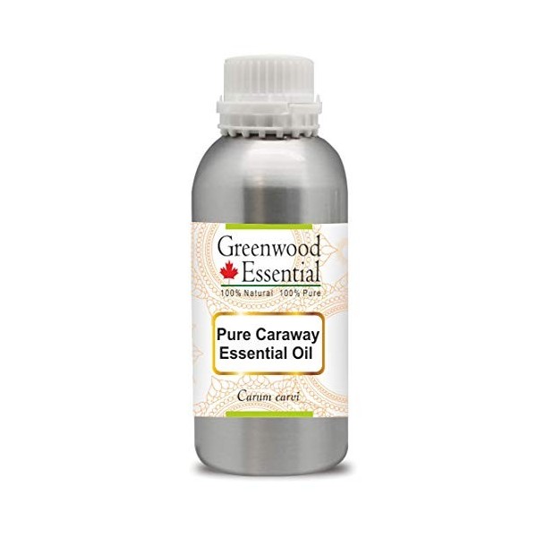 Greenwood Essential Pur Carvi Huile Essentielle Carum carvi 100% Naturelle de Qualité Thérapeutique Distillée à la Vapeur 1