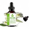 Pure Herbs Rosalina Melaleuca Ericifolia Pure & Natural Essential Oils 15ml PLASTIC With Dropper