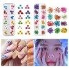 xichen® 36 Starry Plus 36 Cinq Fleurs Fleur 3D Avec 3D Nail Stickers Fournitures fleurs séchées 2 * * * * * * * * 12 couleurs