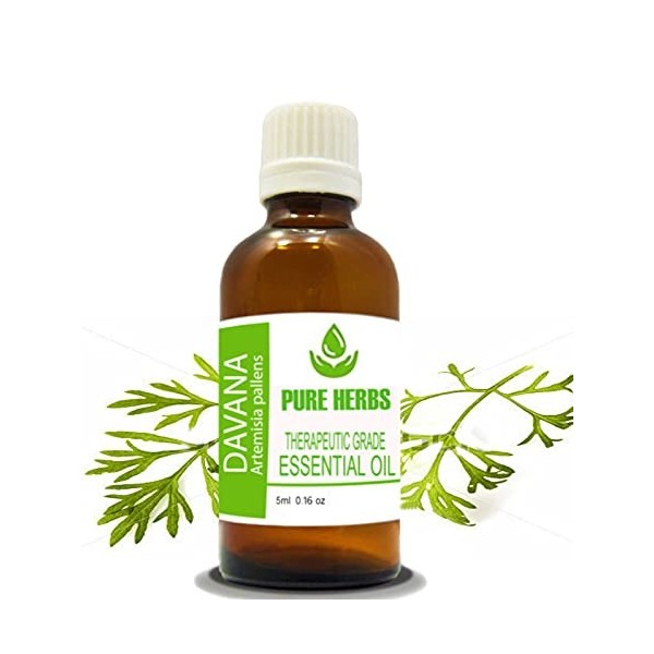 Pure Herbs Davana Artemisia Pallens Huile essentielle pure et naturelle de qualité thérapeutique 5 ml