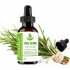 Pure Herbs Rosemary Rosmarinus Officinalis Pure & Natural Essential Oils 100ml PLASTIC With Dropper