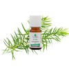 Huile essentielle de Tea tree bio - 10 ml - pour les MAUX SAISONNIERS, DÉFENSES IMMUNITAIRES - PROBLÈMES CUTANÉS - FLORABIOL 