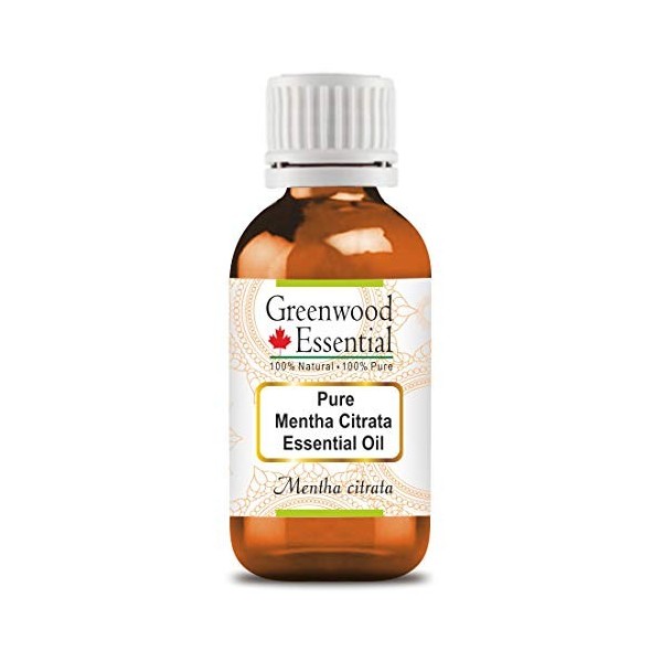 Greenwood Essential Pur Mentha Citrata Huile essentielle Mentha citrata 100% Naturelle De Qualité Thérapeutique Distillée À