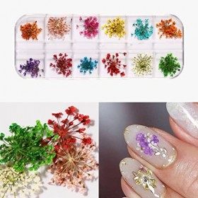 Clyhon 1 boîte Fleur Séchée pour Ongles, 3D Nail Art Véritable Fleur Séchée Nail Applique Nail Pièces Préservé Fleur Manucure