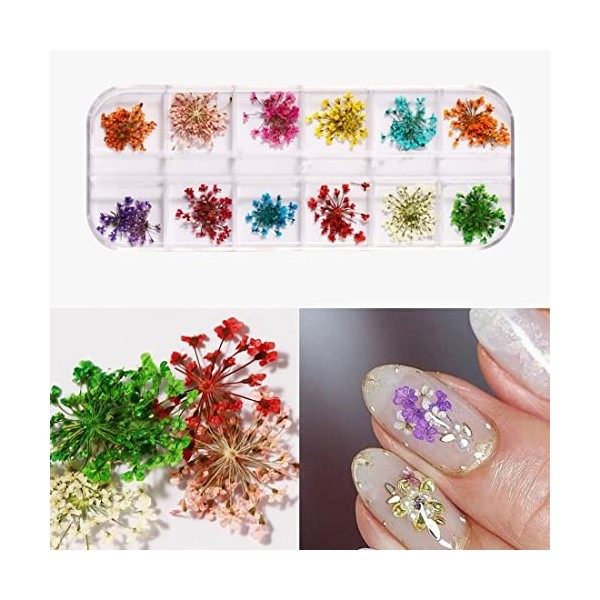 Clyhon 1 boîte Fleur Séchée pour Ongles, 3D Nail Art Véritable Fleur Séchée Nail Applique Nail Pièces Préservé Fleur Manucure