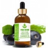 Pure Herbs Huile de baie daçaï pure et naturelle de qualité thérapeutique avec compte-gouttes 15 ml