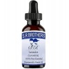 SR Brothers Lavender Lavandula 100% Pure Essential Therapeutic Grade Oil 100ml 